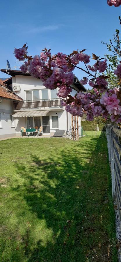 Apartmaji Mojca Križe Extérieur photo