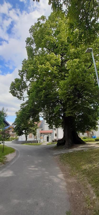 Apartmaji Mojca Križe Extérieur photo