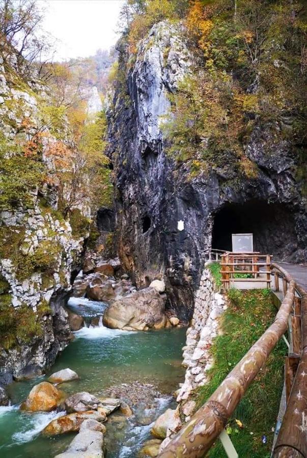 Apartmaji Mojca Križe Extérieur photo